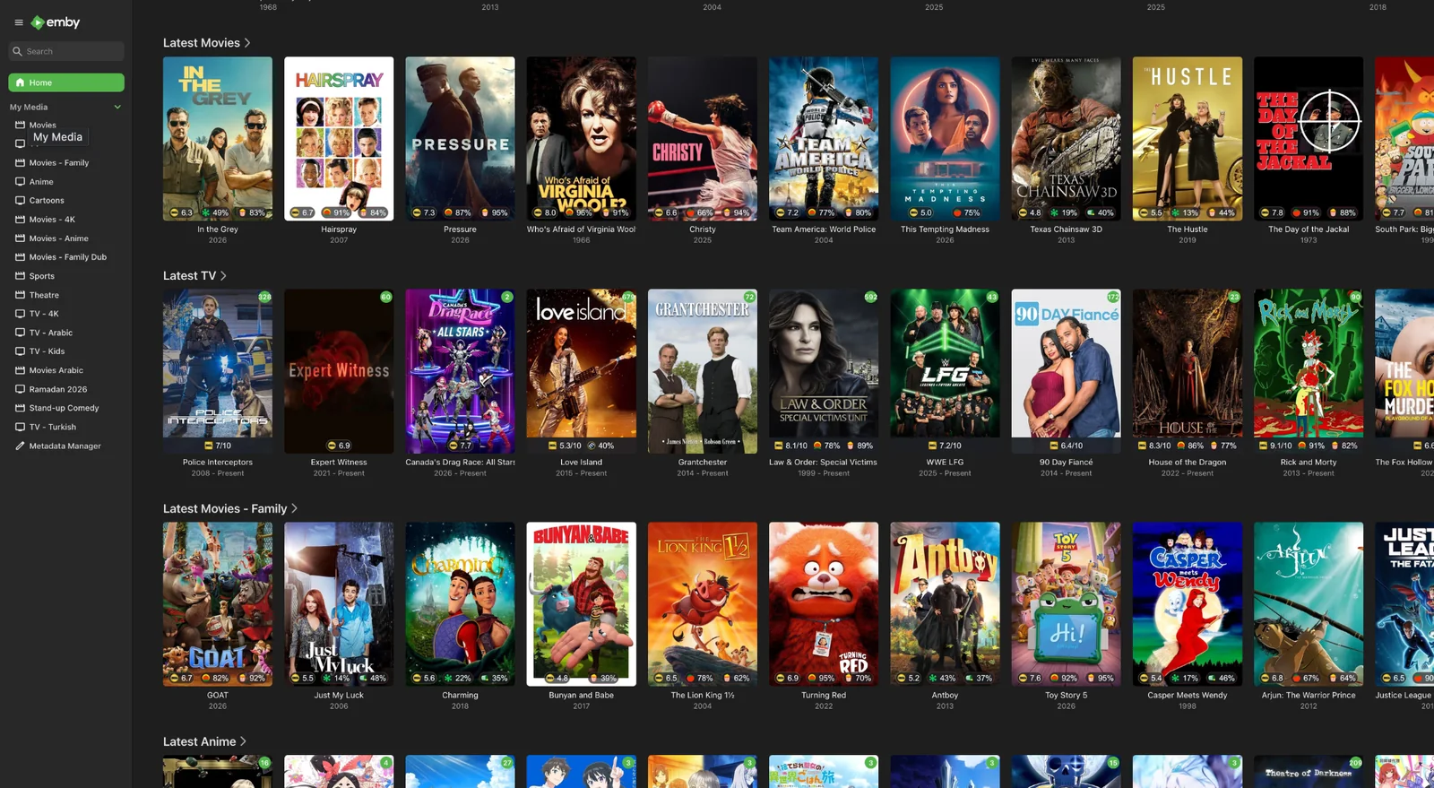 Vault Emby library preview